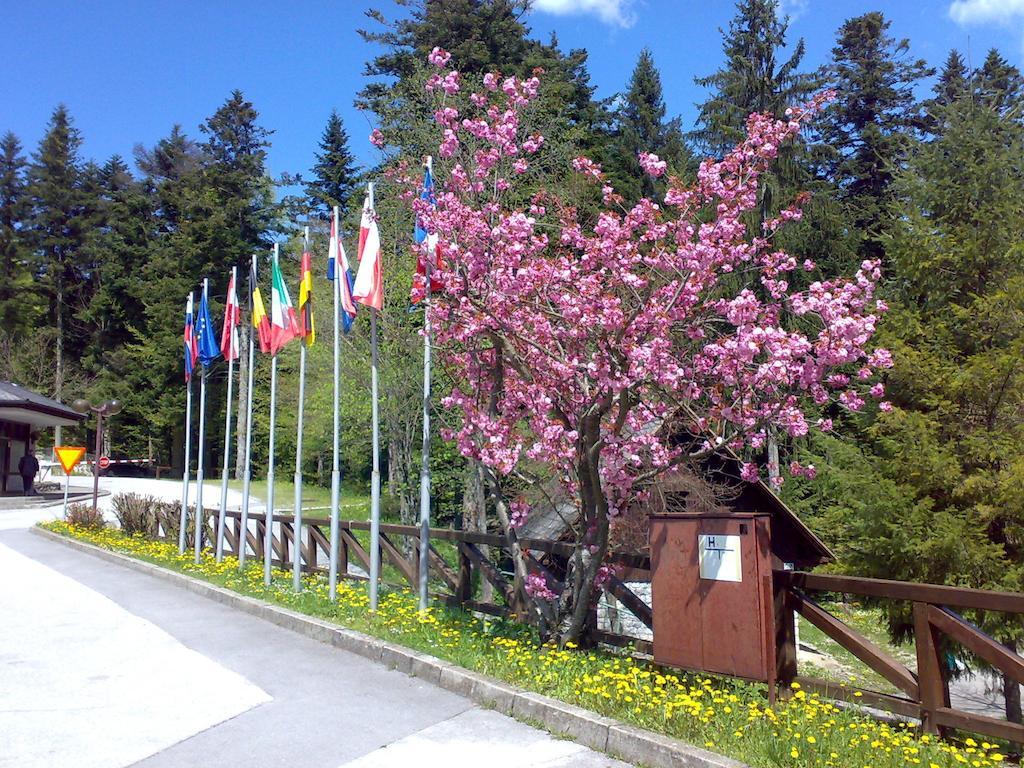Camping Pivka Jama Postojna Exterior foto